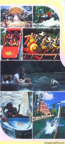 1979-Brochure7.jpg (187747 bytes)