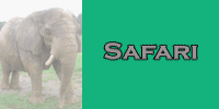 The Safari