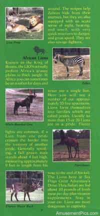1979-Safari-Brochure7.jpg (146609 bytes)