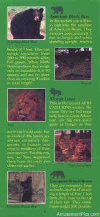 1979-Safari-Brochure8.jpg (126772 bytes)